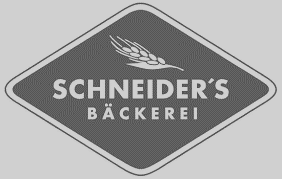 Schneider_grey_with_background